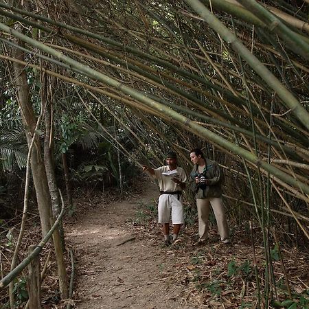 Tanjong Jara Resort, Terengganu - A Small Luxury Hotels Of The World Dungun Esterno foto Bamboo forest in the park